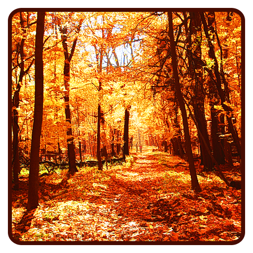 Autumn Wallpaper icon