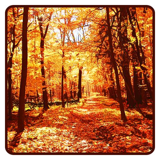 Autumn Wallpaper 1.4
