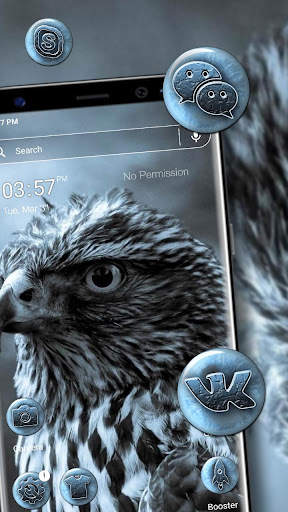 Eagle Launcher Themes screenshot 1