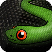 Snake Cover for Super Slither io icon