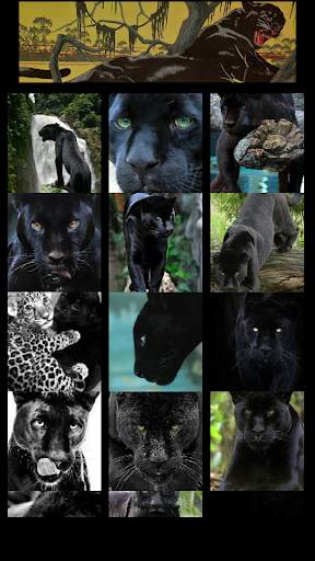 Panther Wallpaper screenshot 1