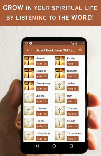 Bible Audio, NIV screenshot 6