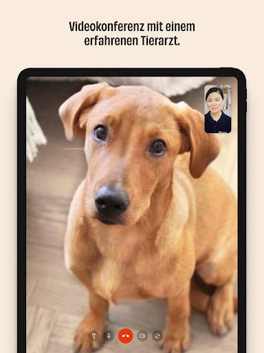 FirstVet - Der digitale Tierarzt screenshot 7