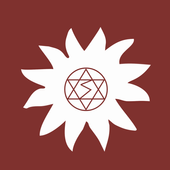 Sorry Shaktimaan ( Shake me ) icon