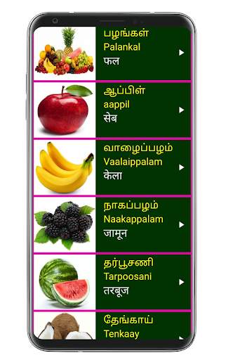 Learn Tamil From Hindi screenshot 7