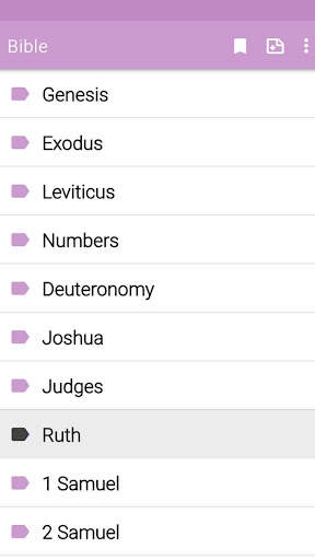 Audio Bible screenshot 2