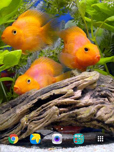 Aquarium 4K Live Wallpaper screenshot 8