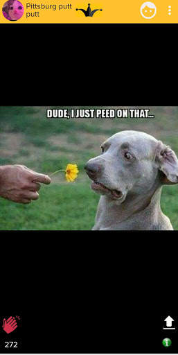 Just Joking - Social Media For Memes screenshot 4