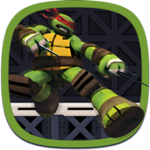 Turtle Running Ninja icon