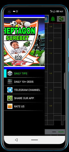 HEPTAGONS SURE BETS: BETTING TIPS screenshot 3