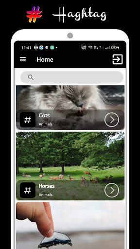 Hashtags for Instagram screenshot 4