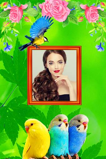 Love Birds Photo Frames screenshot 8