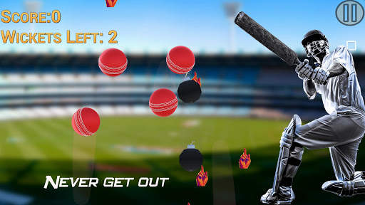 Hit Cricket - Mobile Finger League screenshot 2