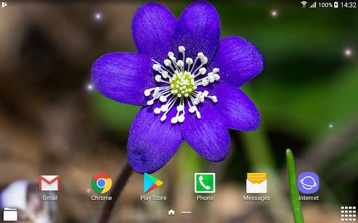 Beautiful Spring Flowers Live Wallpaper screenshot 9