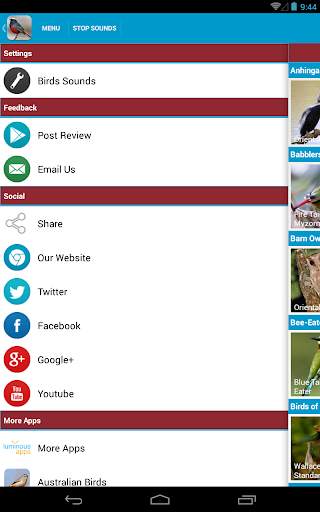 Asian Birds Sounds Free screenshot 16