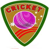 World Cricket Champions icon