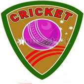 World Cricket Champions 0.1.6