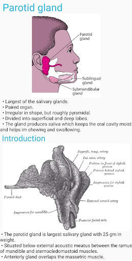 Human Anatomy E Theories screenshot 3
