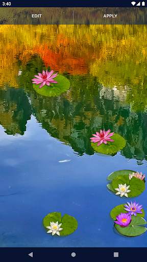 Water Lily Live Wallpaper screenshot 4