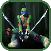 Ninja adventure of turtle icon