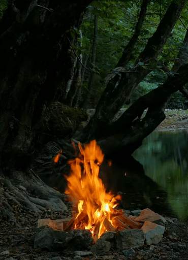 Bonfire Live Wallpaper screenshot 7