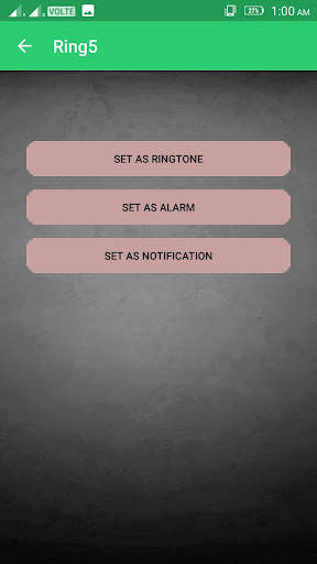 Bird Ringtone screenshot 3