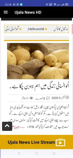 Ujala News HD screenshot 3