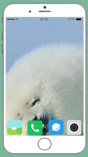 Harb Seal Full HD Wallpaper screenshot 11
