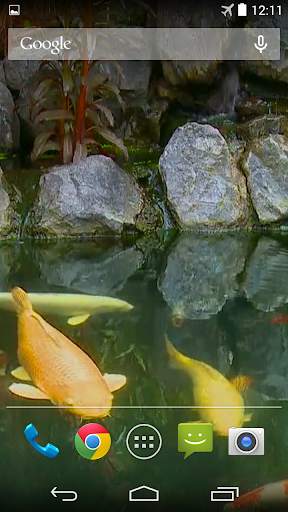Koi Pond Video Live Wallpaper screenshot 1