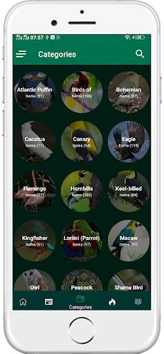 1000+ Birds Wallpapers 4K HD screenshot 3