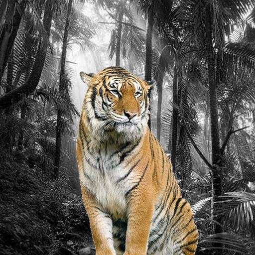 Photo Splash Maker 1.8