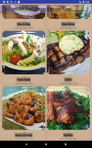 BBQ & Grilling Recipes ~ My nice recipes screenshot 9