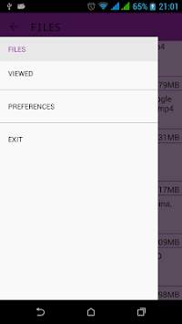 Video player screenshot 2