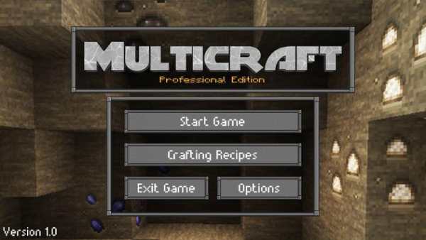 Multicraft Pro Edition Action screenshot 3