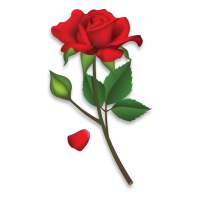 Roses Stickers - WAStickerApps on 9Apps