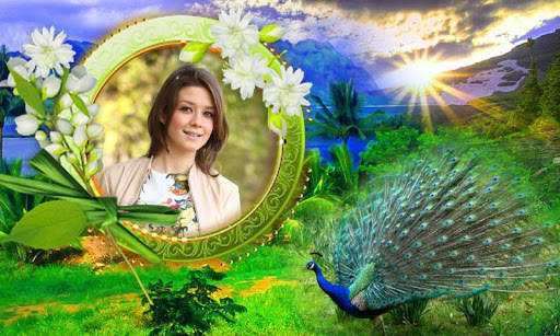 Peacock Photo Frames HD screenshot 6