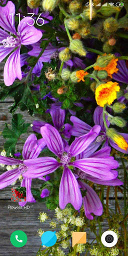 Flowers HD Wallpaper screenshot 3