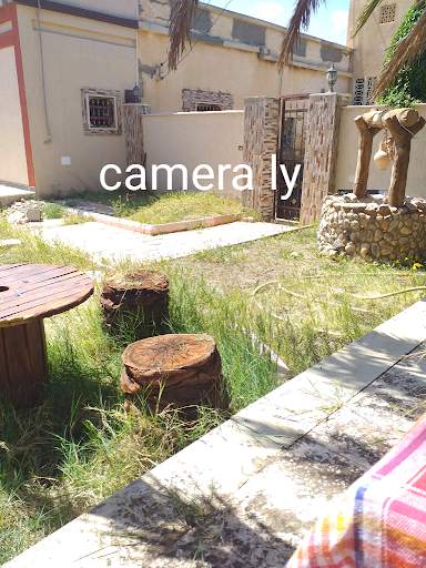 CAMERA LY screenshot 5