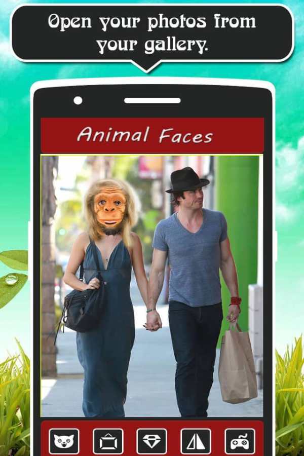 Animal Faces screenshot 4