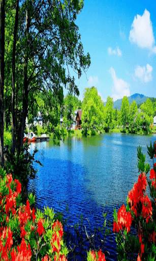 Best Scenery Live Wallpaper screenshot 5