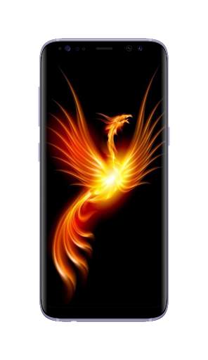 Phoenix Wallpapers HD screenshot 4