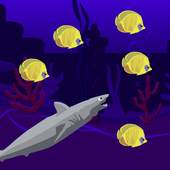 Shark Wild Life 1.0