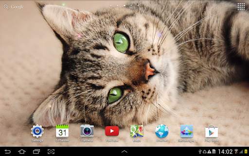 Cat Live Wallpaper screenshot 13