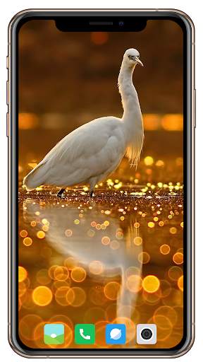 Bokeh HD Wallpaper screenshot 12