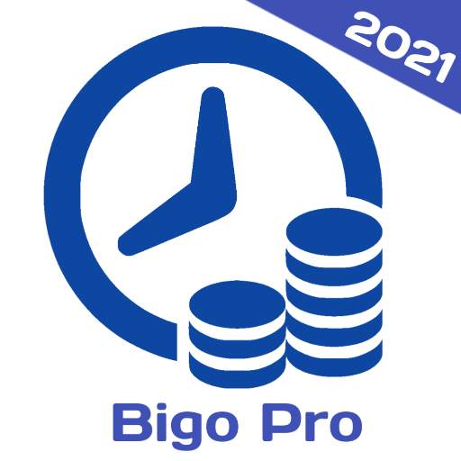 Bigo pro 2021 1.3