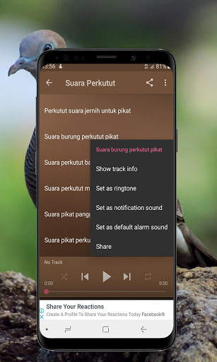 Kicau Burung Perkutut Offline screenshot 5