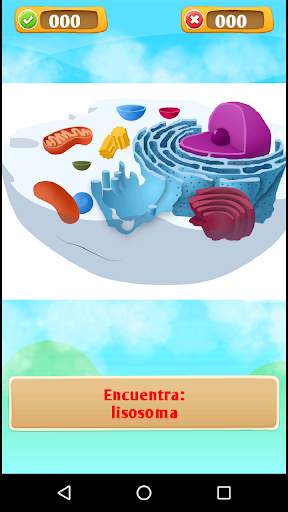 QuizPedia: ciencias sociales y naturales trivia screenshot 8