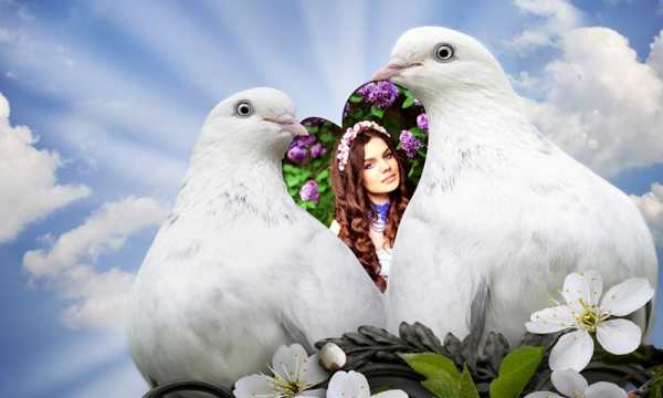 Romantic Photo Frames screenshot 7