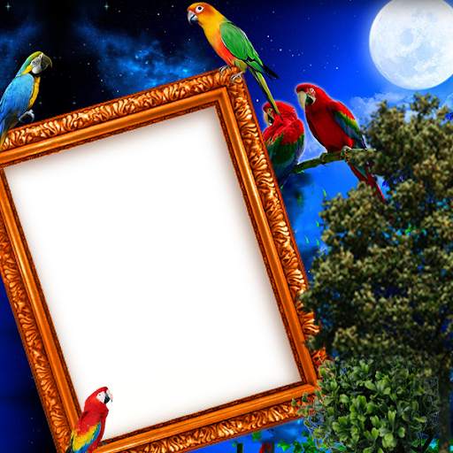 Parrot Insta DP screenshot 3