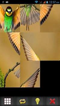 Birds Puzzle screenshot 6